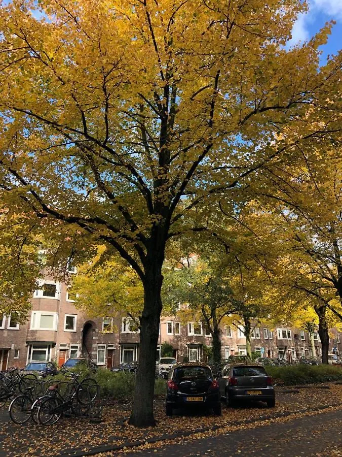 Apartment Ferienwohnung Fantastic Bright Penthouse Amsterdam
